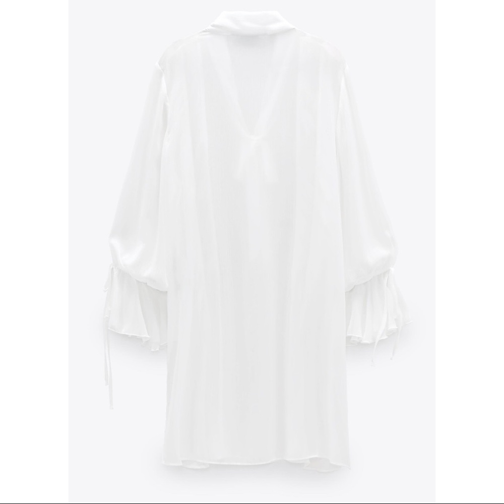 Zara Chiffon Ruffled Blouse - Picture 3 of 9